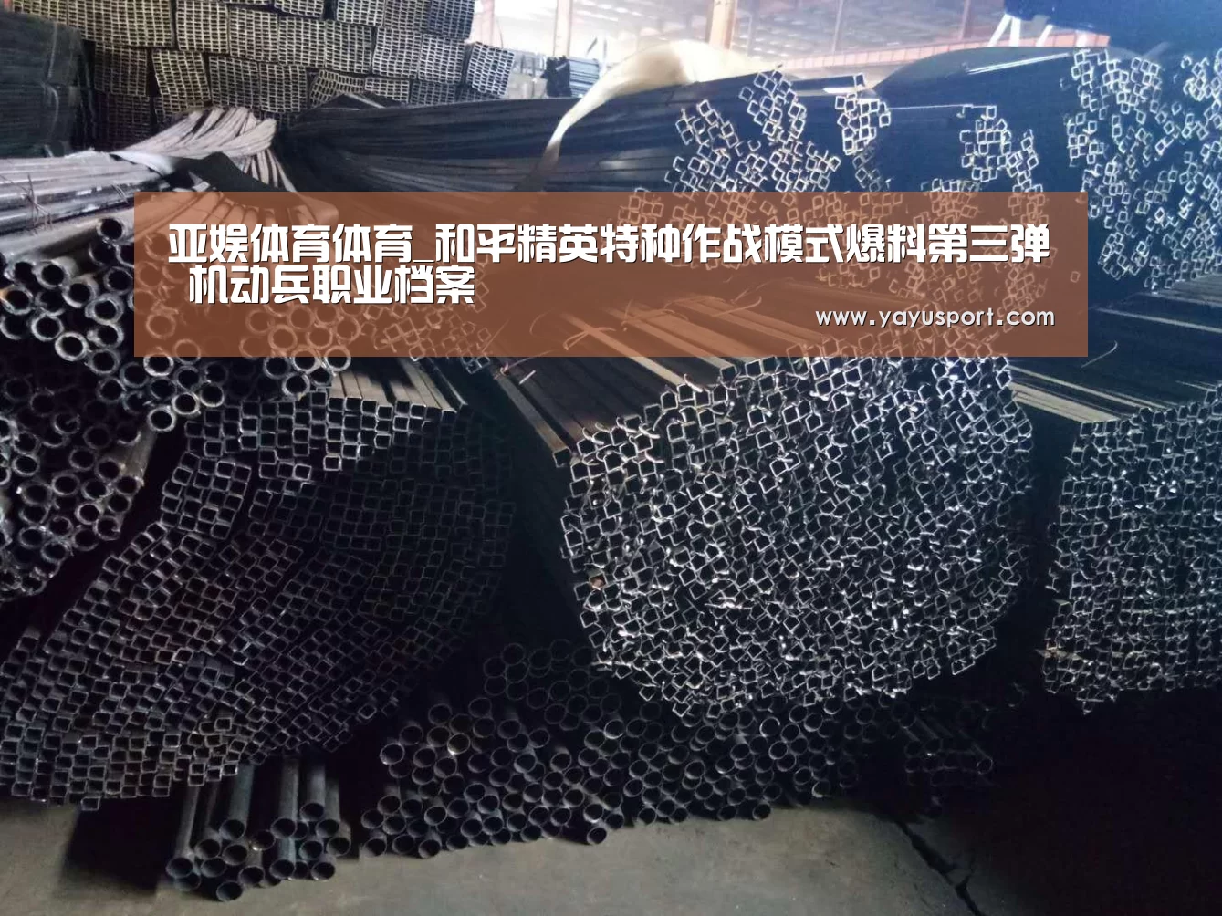 亚娱体育体育_和平精英特种作战模式爆料第三弹 机动兵职业档案(图4) 亚娱体育体育