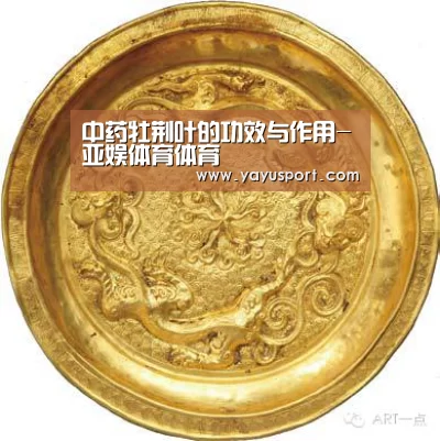中药牡荆叶的功效与作用-亚娱体育体育(图1) 亚娱体育体育